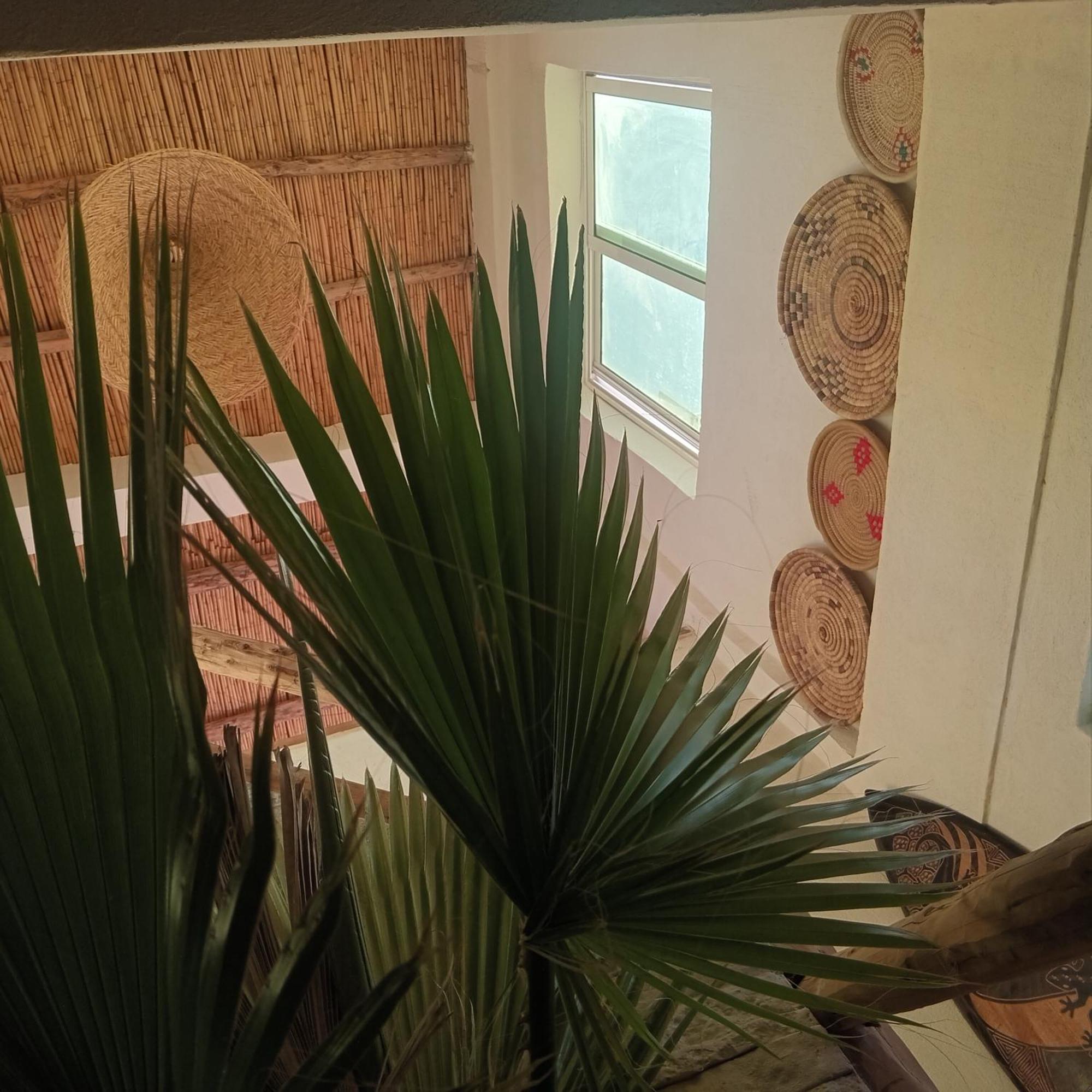 Moroccan Boho Surf House Agadir Exterior photo